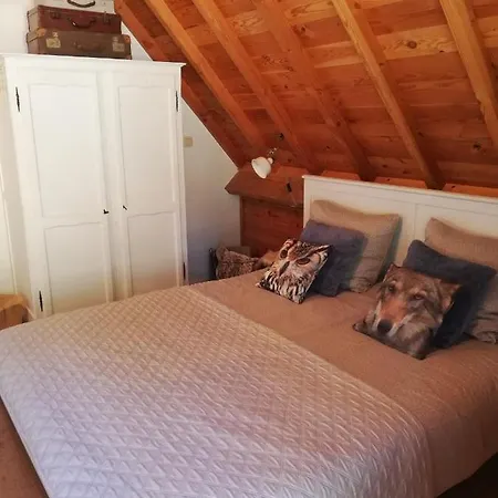 Σπίτι διακοπών Vakantiewoning-deblinker