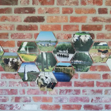 Vakantiewoning-deblinker * Sint-Laureins